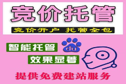 如何在SEM代运营服务公司中实现ROI最大化